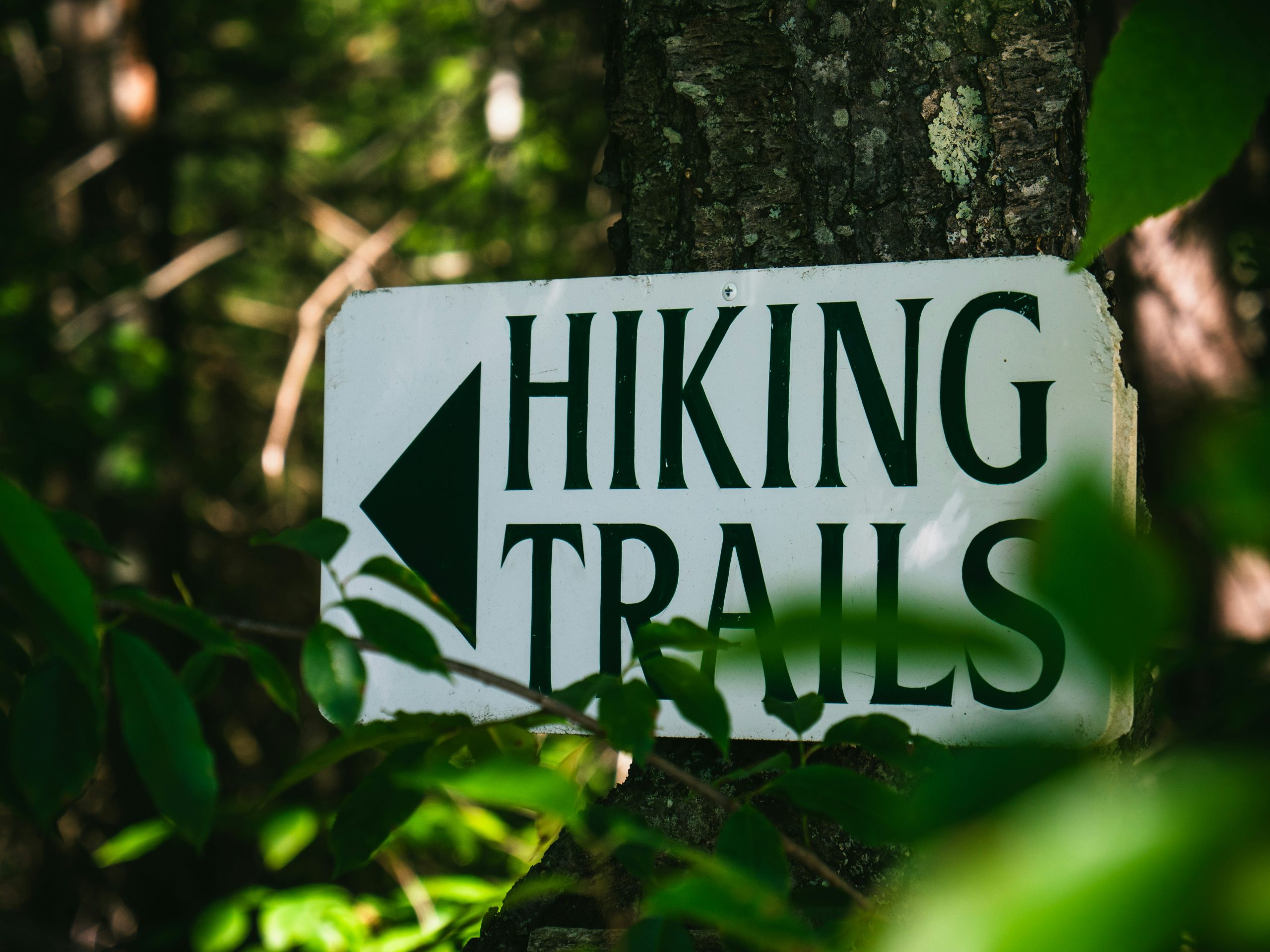 discover the most scenic hiking trails near you with our comprehensive guide to outdoor adventure. find the best hiking routes for all skill levels and immerse yourself in nature's beauty.