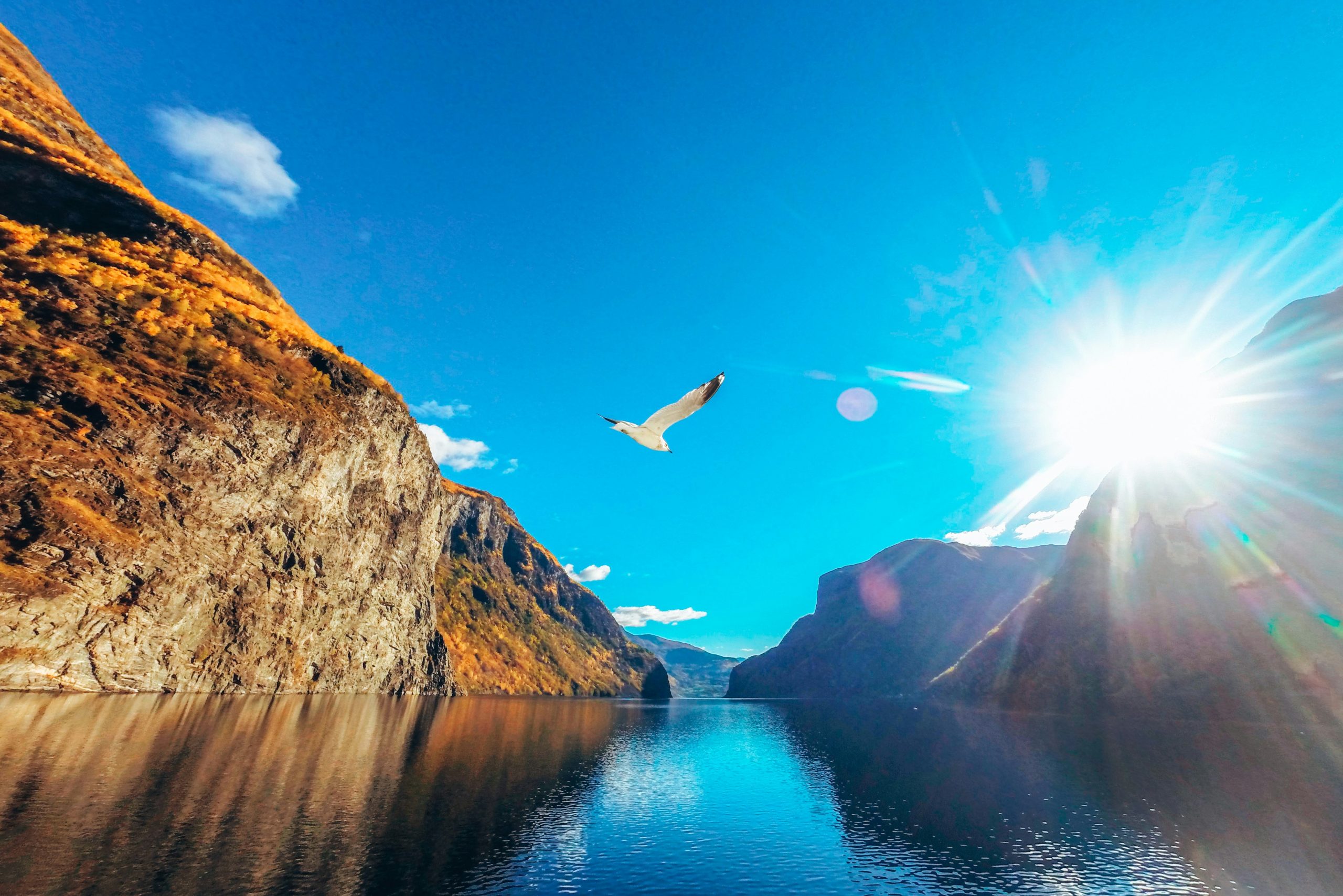explore the stunning beauty of norway's fjords - a must-see natural wonder with breathtaking landscapes, dramatic cliffs, and crystal-clear waters.